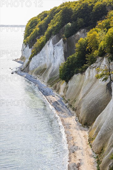 Tourists on the beach below the chalk cliffs