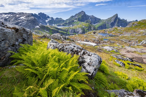 Mountain landscape