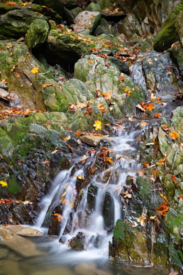 A stream in autumn near Winterberg