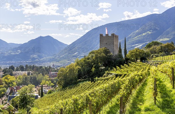 Former keep of Ortenstein Castle