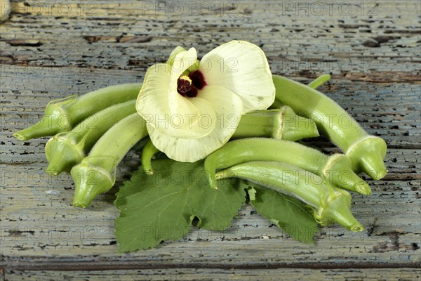 Okra