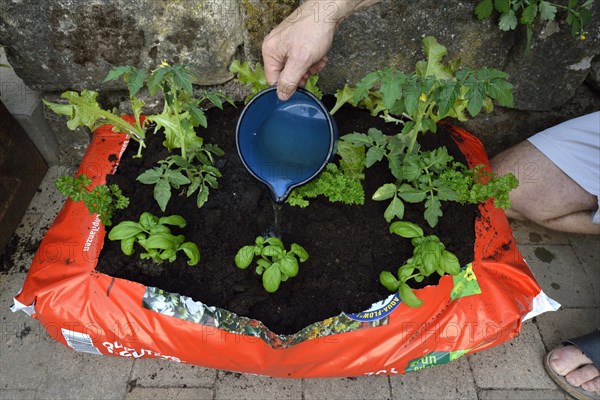 Planting bag with potting soil