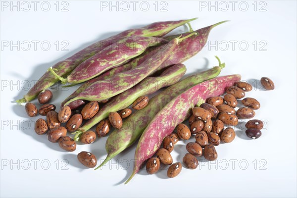 Broad beans