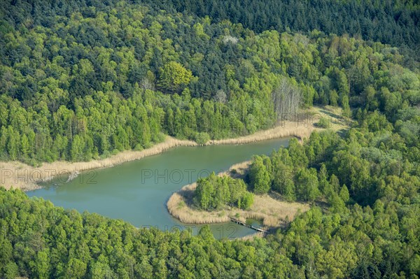 Dammer Bergsee