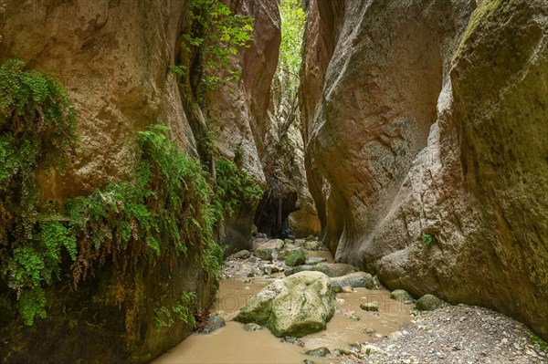 Avakas Gorge
