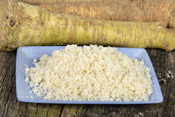 Horseradish