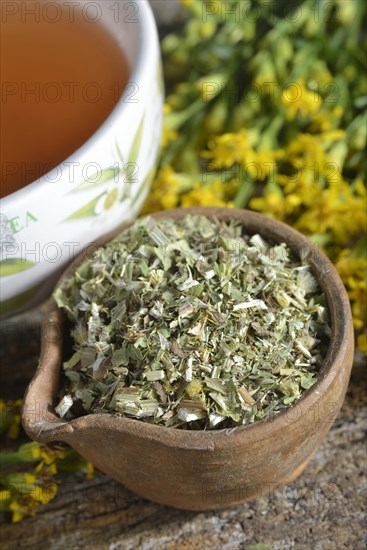 Cup goldenrod tea