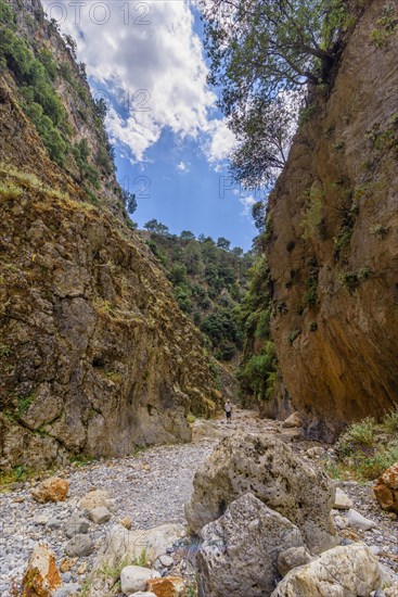 Aradena Gorge Gorge