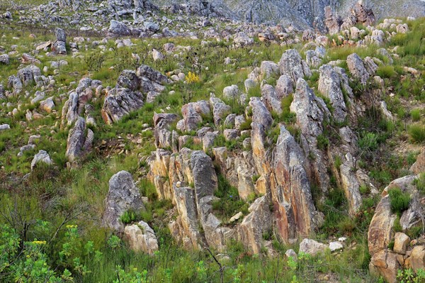 Swartberg Pass