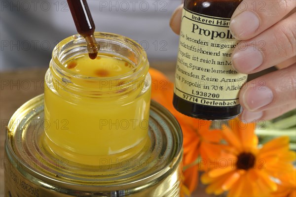 Production Yarrow and marigold ointment