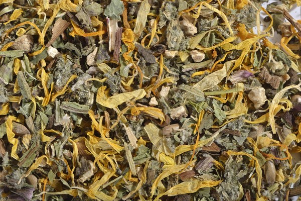 Cholesterol regulating tea