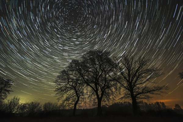 Star trails