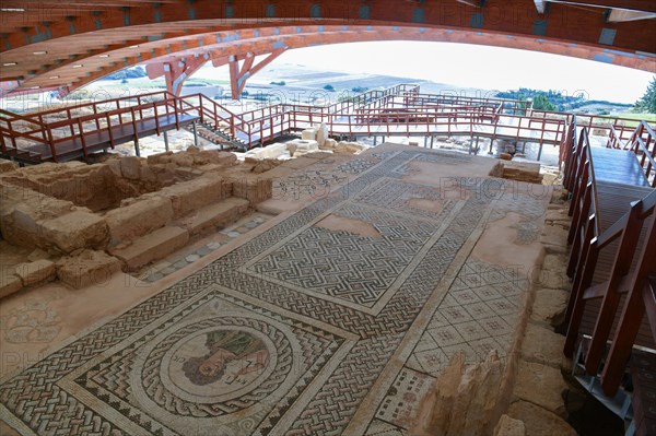 Floor mosaic