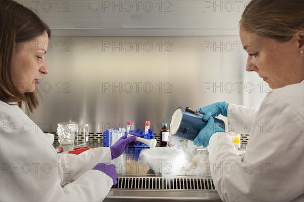 Female scientists of the biology department during RNA isolation and genetic engineering in the laboratories of the University of Duisburg-Essen