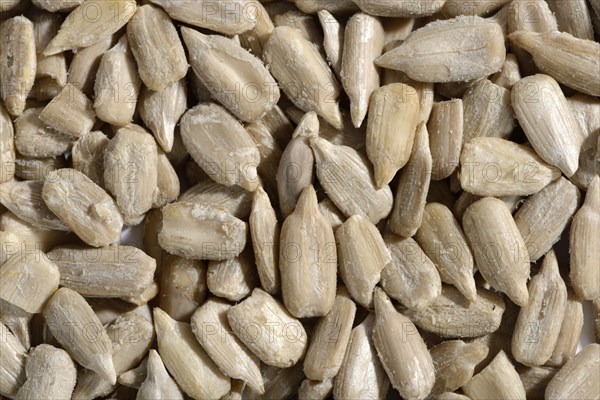 Hulled sunflower seeds