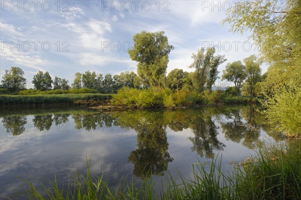 Mouth of the Prien into the Chiemsee