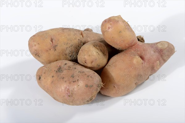 Potatoes