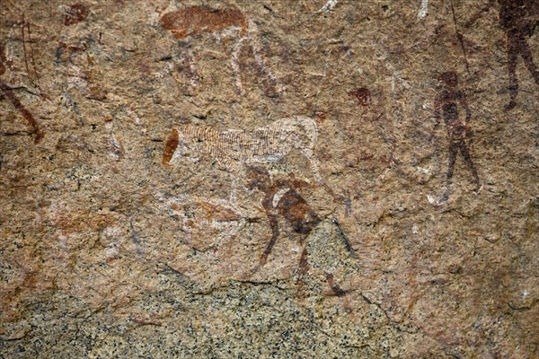 Archaeological rock drawing White Lady