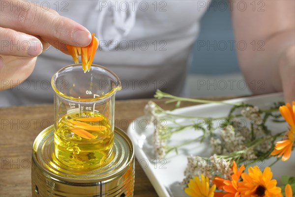 Production of yarrow and marigold ointment