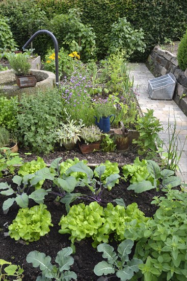 Nature garden and frame beds