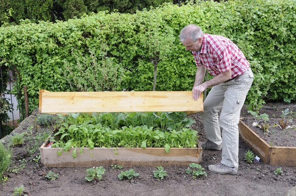 Creation of organic garden