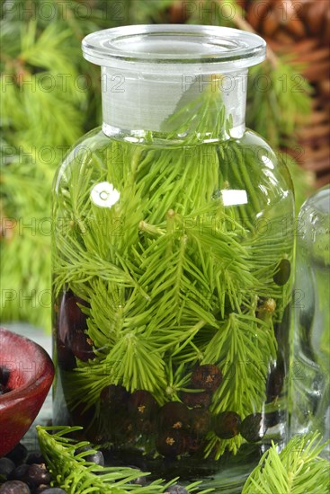 Production of french brandy