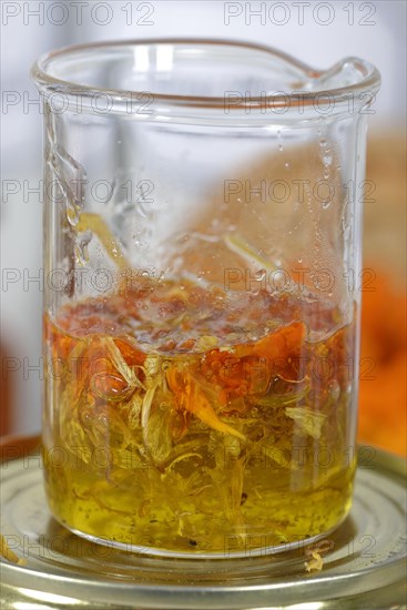 Production Calendula ointment