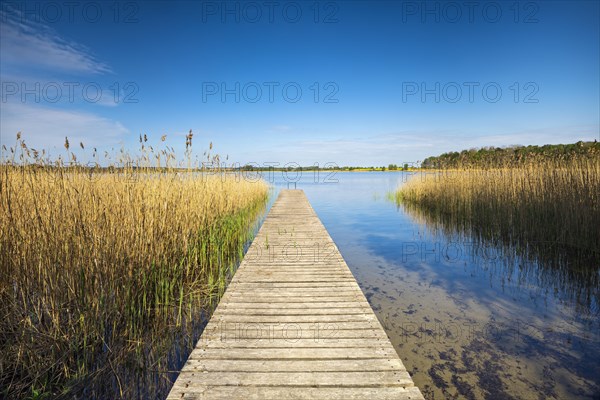 Bathing place with wooden jetty