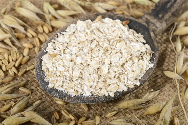 (Avena sativa) oatmeal