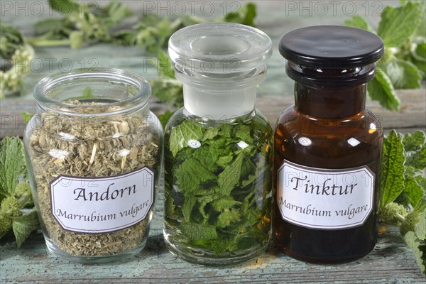 Andorn tincture