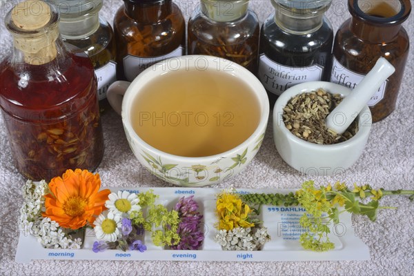 Tablet box and medicinal plants