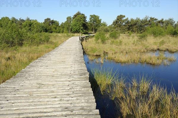 Groote Peel National Park