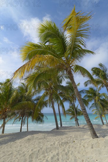 Varadero Beach