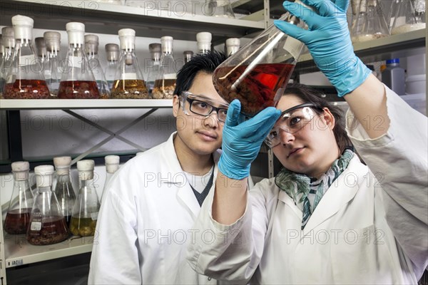 Scientists examine samples in the fungus room at the Institute for Pharmaceutical Biology and Biotechnology at Heinrich Heine University Duesseldorf