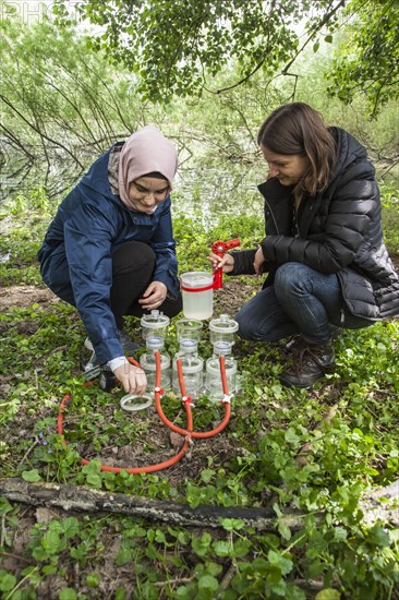 Scientists of the working group of Prof. Dr. Jens Boenigk of the University of Duisburg-Essen filtering water samples near Grietherbusch on the Lower Rhine