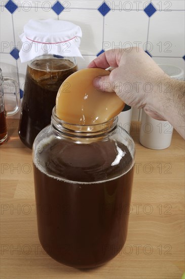 Kombucha