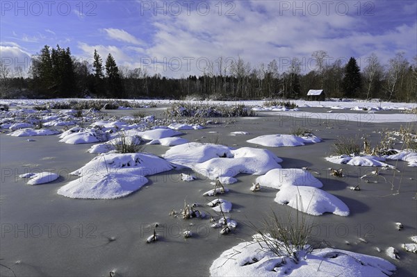 Moor lake