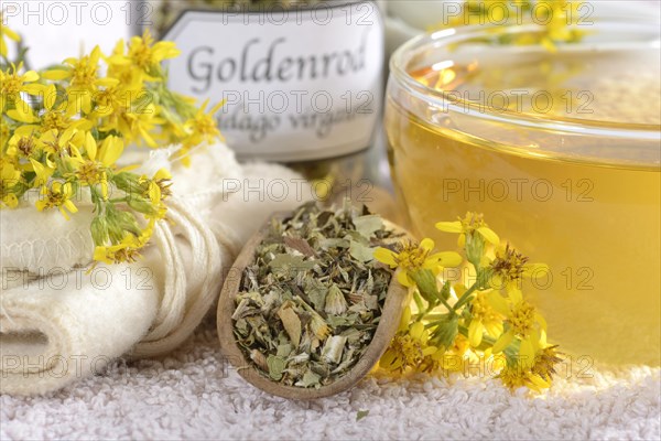 Cup goldenrod tea