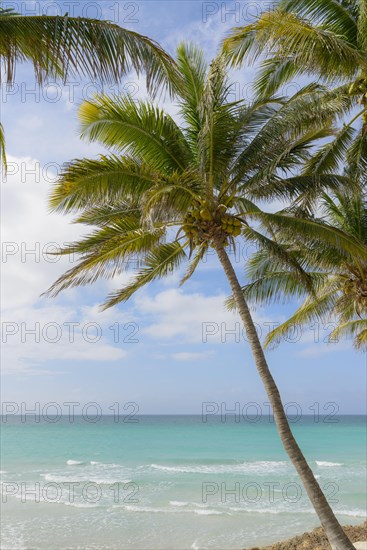 Varadero Beach