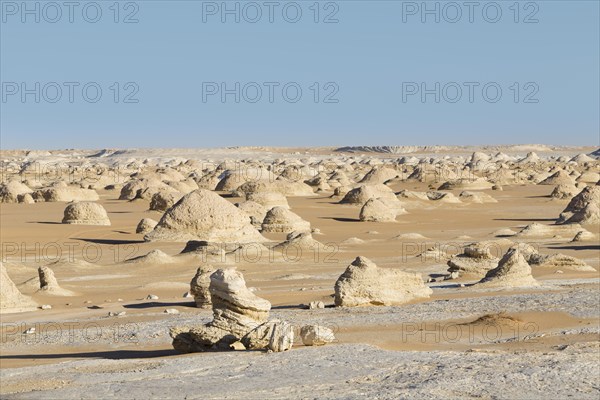 View over the white desert