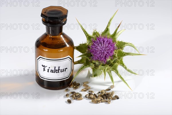 Carduus marianus tincture