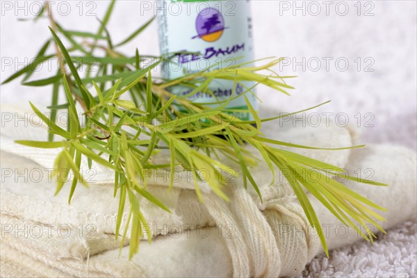 Tea tree oil