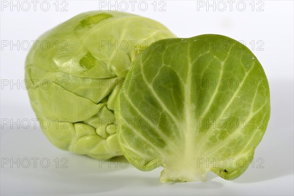 Brussels sprout