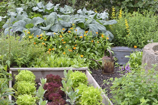 Nature garden and frame beds