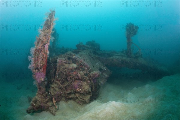 Star engine of the Dauntless Dive Bomber aircraft wreck