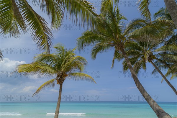 Varadero Beach