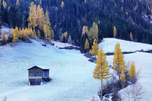 Mountain stream