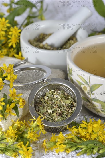 Goldenrod tea