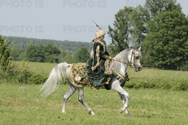 Rider with historical dress on Arabian thoroughbred