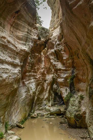 Avakas Gorge